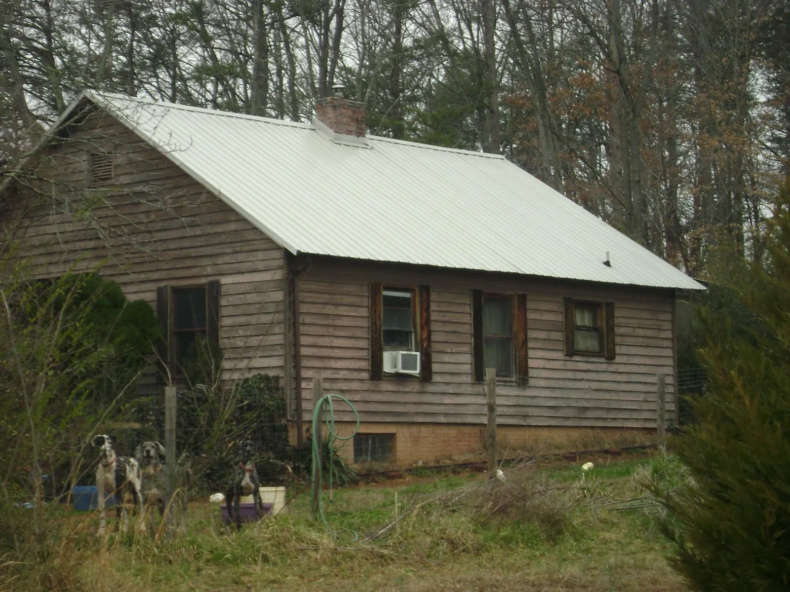 White metal roof on an old wood sided farmhouse, from a Asphalt Shingle Roof Repair job in Mountain View